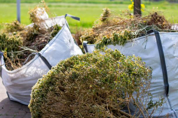 Best Demolition Debris Removal  in Lancaster, TX